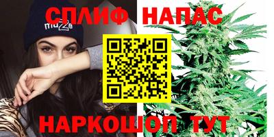 эйфоретик Будённовск